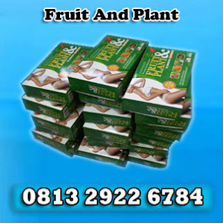 fruit plant slimming capsule usa natural,pelangsing fruit and plant,fruit & plant herbal,obat pelangsing tubuh,pelangsing badan herbal