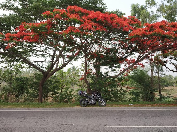 From Fight to Coorg-Chapter 2