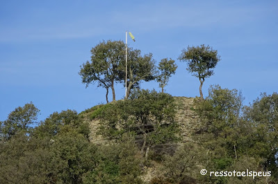 Camí a Sant Miquel de Sorerols