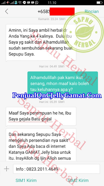 Obat Penghancur Batu Ginjal Yang Paling Manjur di Apotik 100% Aman Utk Semua Usia