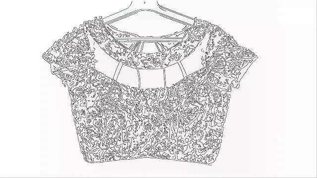 Cutwork Blouse Designs