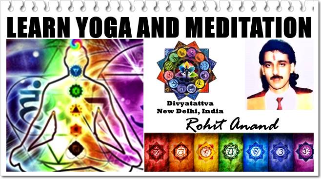 Learn Yoga Meditation Mudras New Delhi India Yoga Classes From Top Certified Yoga Instructor Shri Rohit Anand With 30 Years of Experience