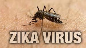  Zika Vírus Tratamento 2016