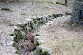 奈良公園 シカ