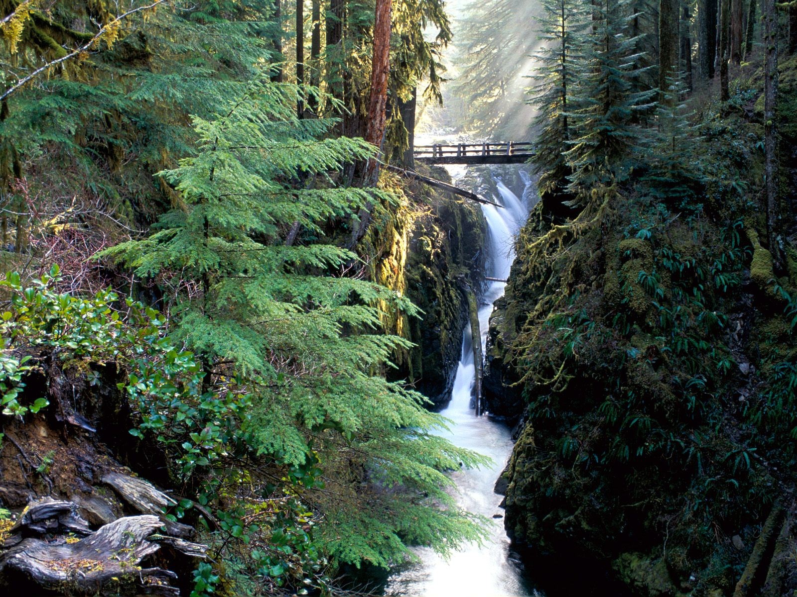 Travel Trip Journey : Olympic National Park, Washington - Olympic+National+Park+01