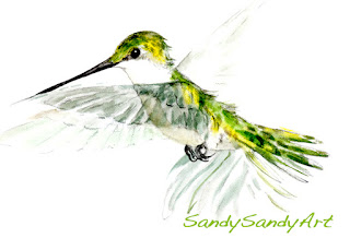 https://www.sandysandyfineart.com/store/p73/Matted_Hummingbird_Print_-_E.html