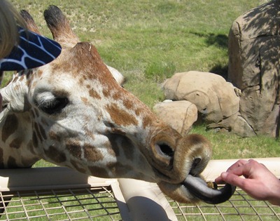 The Living Desert