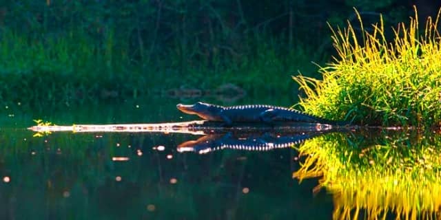 Spot Mancing Sungai Cidano