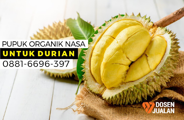 Pupuk Organik Nasa untuk Durian