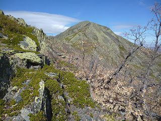 Pico Ocejón. Llegando a Cabeza del Mostajar