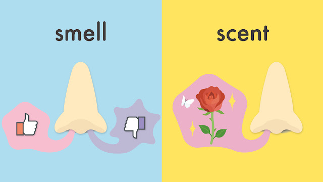 smell と scent の違い