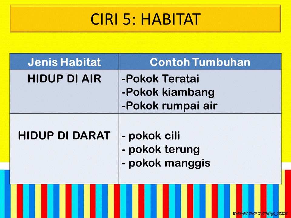 Dunia Sains dan Teknologi (Belajar dengan Ceria): DST 