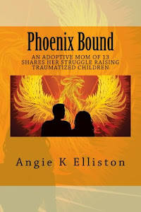 Phoenix Bound: An adoptive mom of 13 shares her struggle raising traumatized children