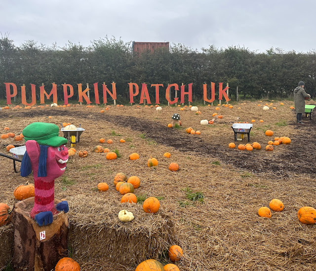 pumpkin patch uk