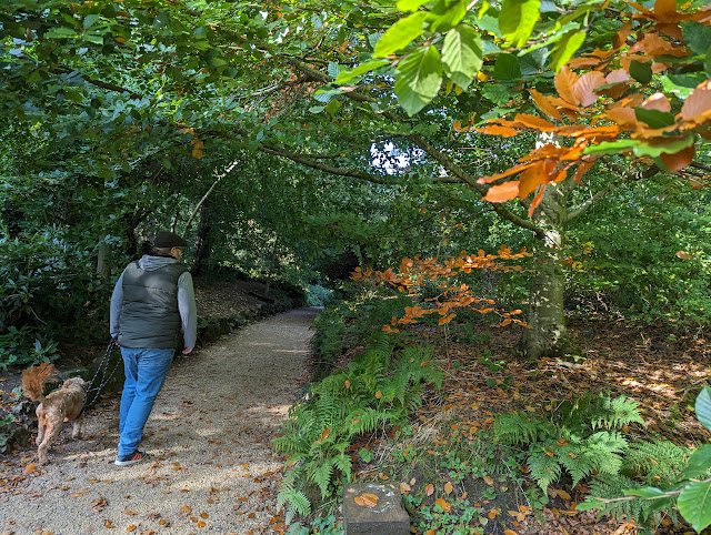 Belsay hall woodland walk