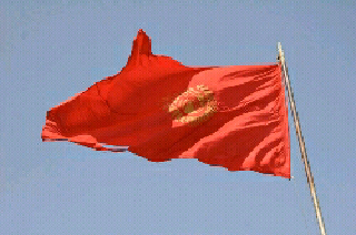 National Flag of Kyrgyzstan