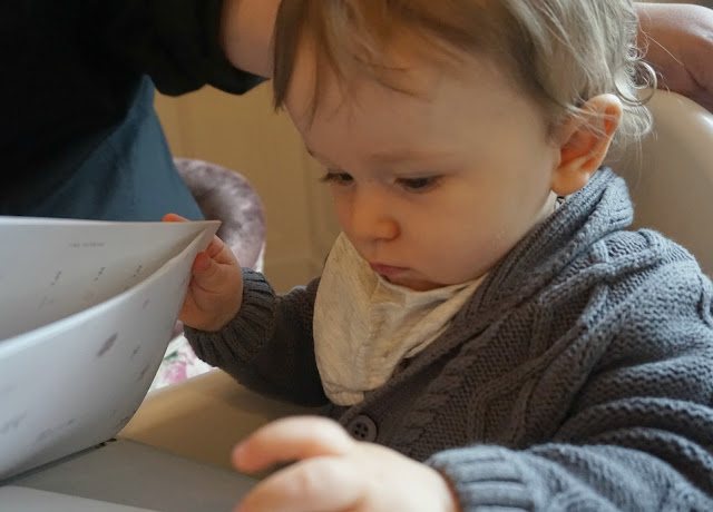 baby looking through a menu