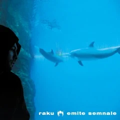 raku - emite semnale (A)