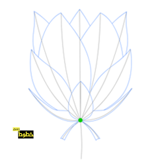 تعلم طريقة رسم زهرة اللوتس في خطوط رسم سهله