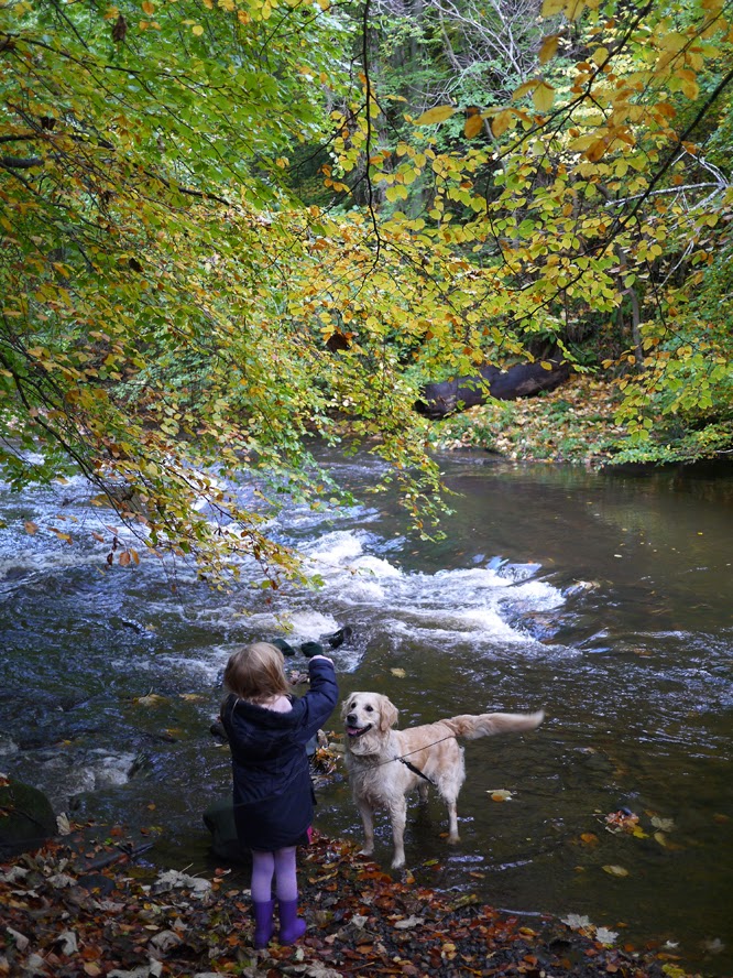 Coco with Gina the dog in the river, Edinburgh 2013