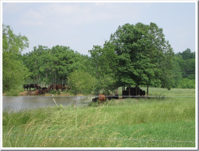 May 2010 543