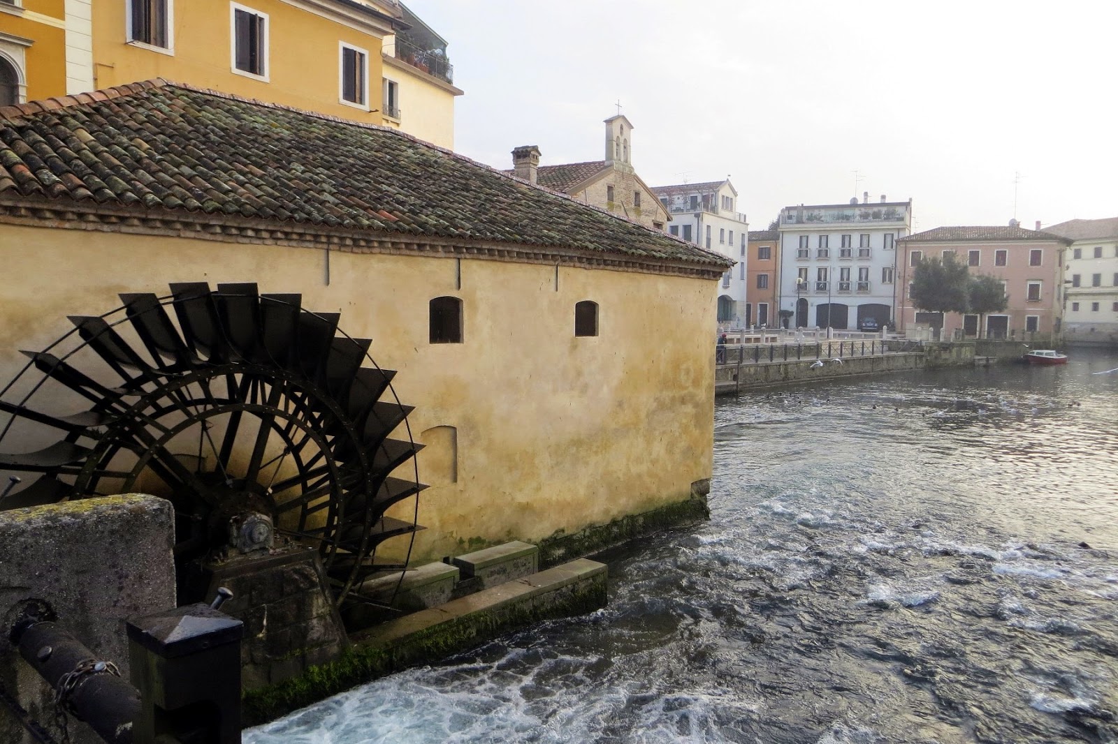 Risultati immagini per immagini portogruaro