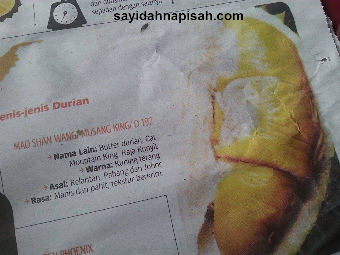 7 Jenis Durian Yang Popular Di Malaysia