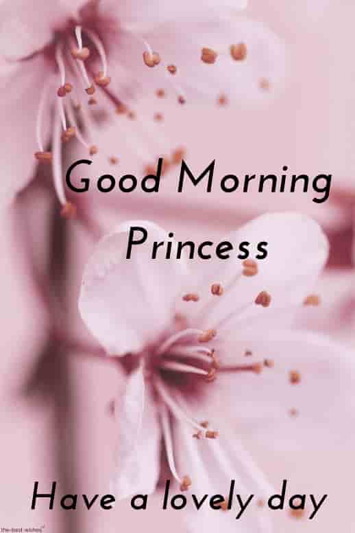 Best Good Morning Hd Images Wishes Pictures And Greetings