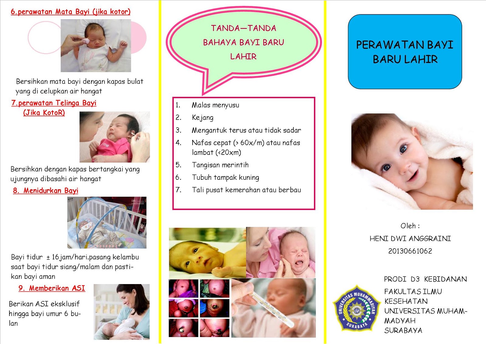 bidan leaflet perawatan  bayi  baru  lahir 