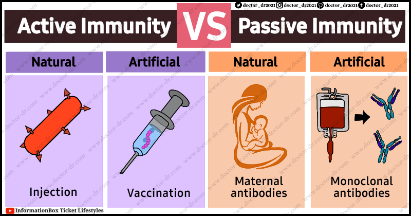 19 Key Differences between Passive Immunity and Active Immunity