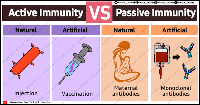 19 Key Differences between Passive Immunity and Active Immunity