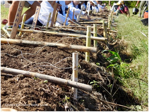 En este grupo cada niño trabajará su porción de tierra - Chacra Educativa Santa Lucía