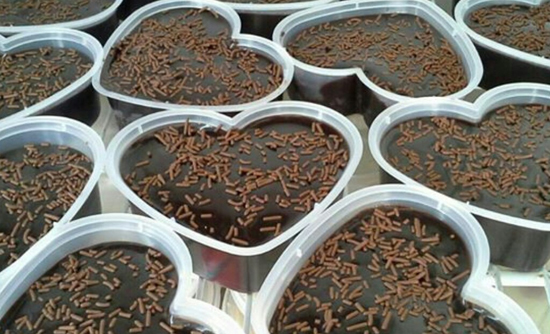 Resepi Rahsia Kek Coklat Anis Choc Moist
