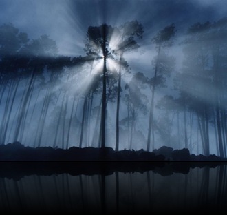 13_rays_fog_trees_rmb