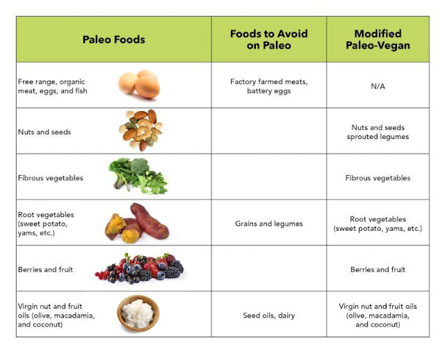 Paleo Diet Plan--Paleo Diet