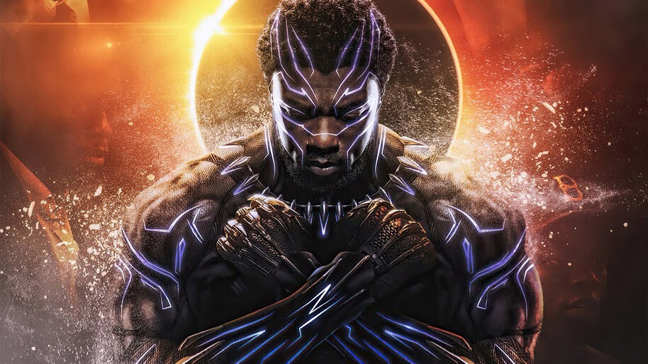  Black  Panther  Chadwick  Boseman  Wakanda Forever Salute 