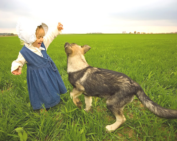 farm dog, farm dogs, learn about farm dog, everything you need to know about farm dog, everything you should know about farm dog, farm dog information, farm dog care, farm dog benefits, farm dog socialization, farm dog caring, farm dog health management, training farm dog, farm dog safety tips