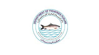 Fisheries Development Board FDB Jobs 2022 in Pakistan - www.ats.org.pk Jobs 2022