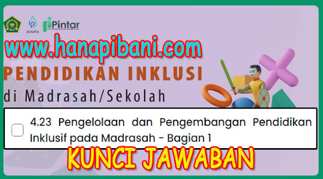 hanapibani.com