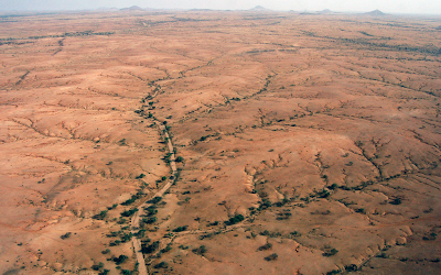 deforestation brazil rainforest