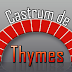 Concurs de debut în volum Castrum de Thymes