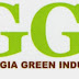 Danna Cain is featured speaker at GGIA Wintergreen State Conference