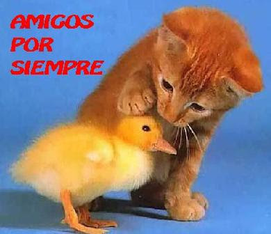 amor de amigos. Poemas de amigos Welcome to