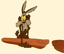 Wile E. Coyote: Gravity Lessons