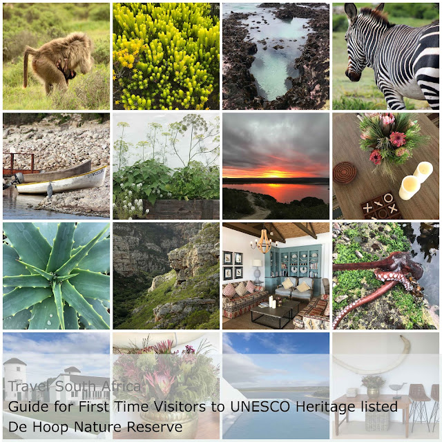 Guide for First Time Visitors to UNESCO Heritage listed De Hoop Nature Reserve The Touristin