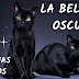 GATOS NEGROS: la conexión entre los mundos ocultos y el mundo humano