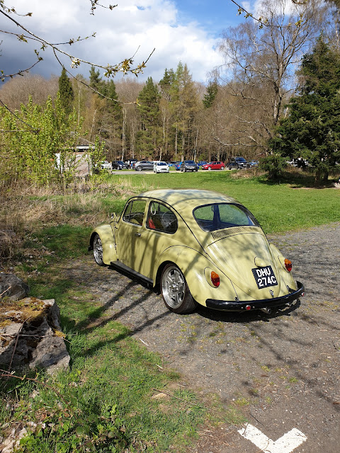 Myrtle 65 Bug