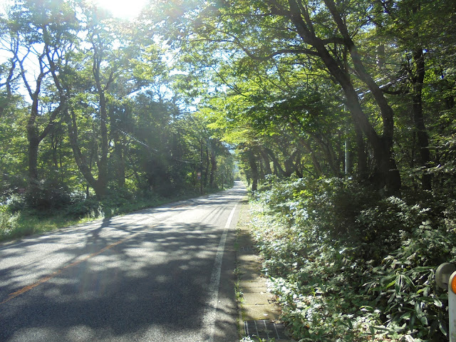 158号道路大山口停車場大山線を昇ります