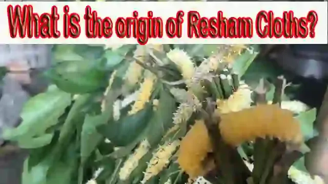 GK: Resham Silk Generation | What is the origin of the Resham Cloths?