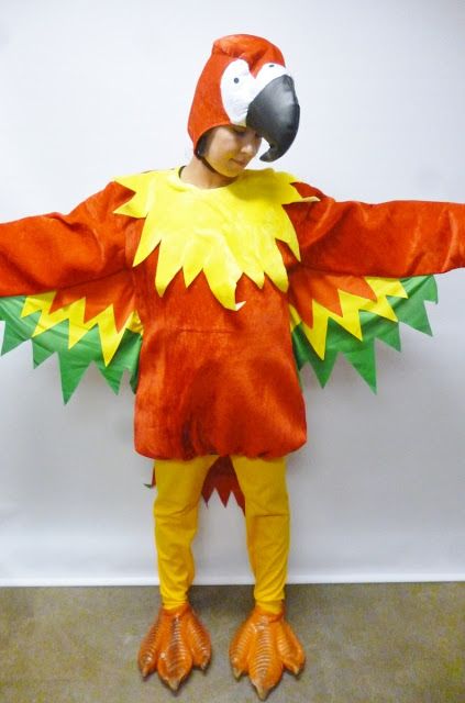 Bird Head Costume